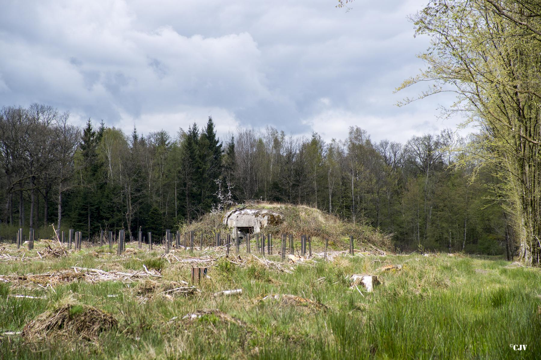 Ligne Maginot - B758 - CARREFOUR FABERT - (Blockhaus pour canon) -  - Lia VERMEULEN