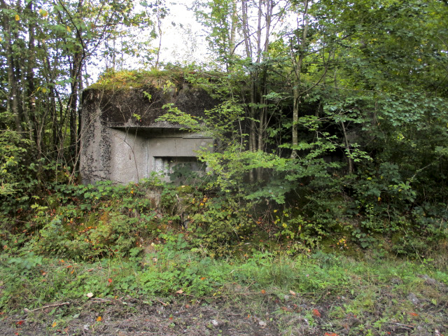 Ligne Maginot - B759 - CARREFOUR HOLSTEIN - (Blockhaus pour canon) -  - Randonneur62