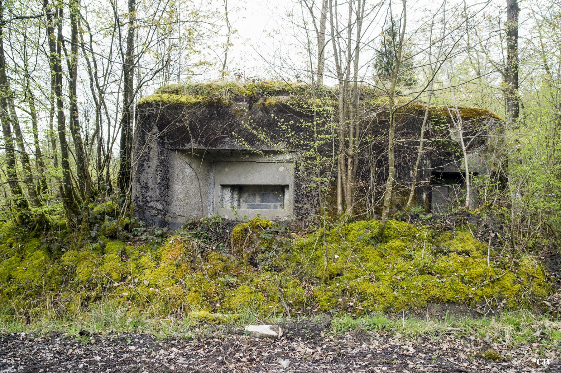 Ligne Maginot - B759 - CARREFOUR HOLSTEIN - (Blockhaus pour canon) -  - Lia VERMEULEN