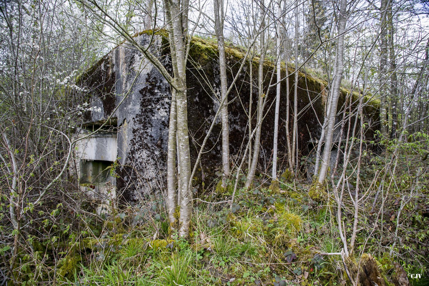 Ligne Maginot - B759 - CARREFOUR HOLSTEIN - (Blockhaus pour canon) -  - Lia VERMEULEN