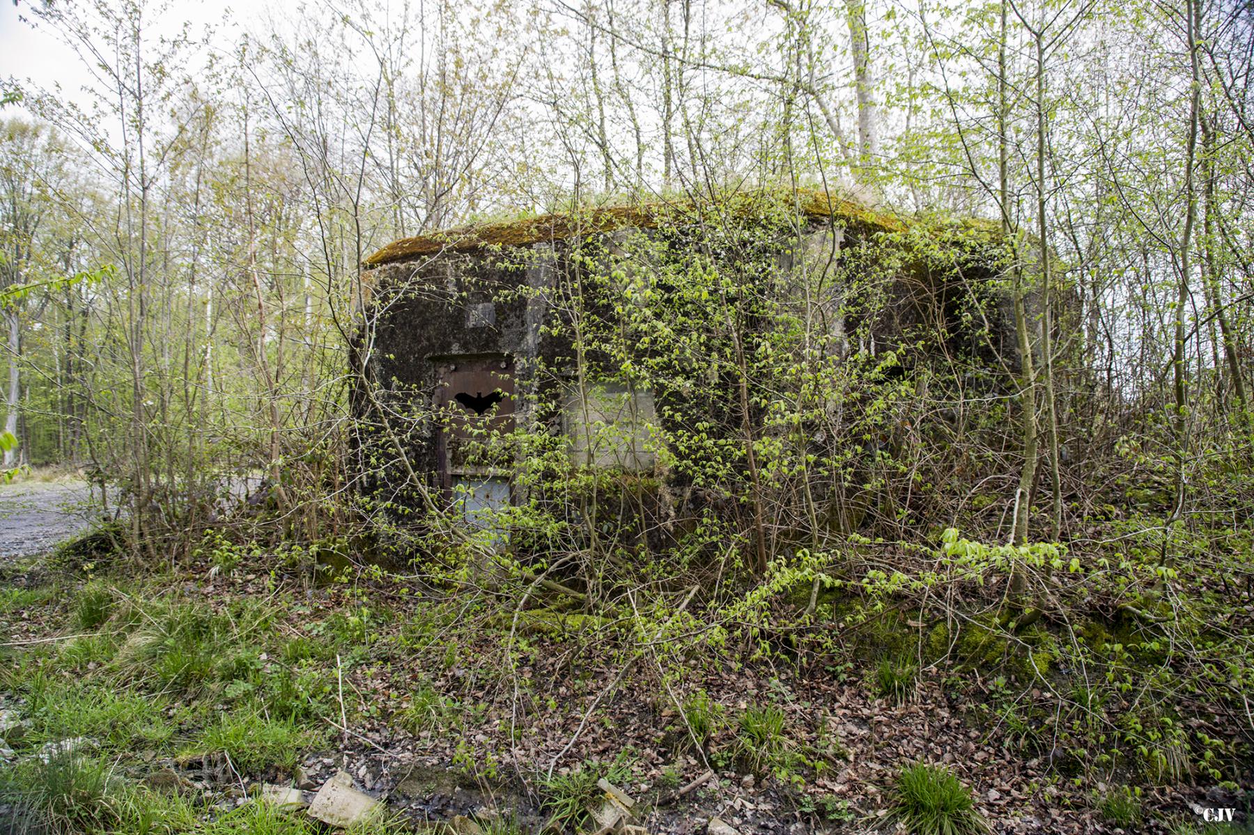 Ligne Maginot - B759 - CARREFOUR HOLSTEIN - (Blockhaus pour canon) -  - Lia VERMEULEN
