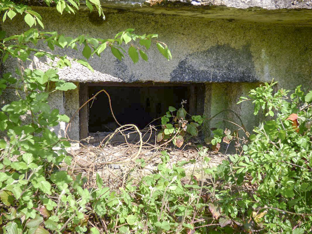 Ligne Maginot - B764 - LE FOURNEAU - (Blockhaus pour canon) -  - JMBrams