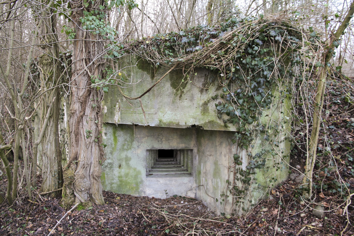 KEMBS LOECHLE 1 - (Blockhaus pour arme infanterie)