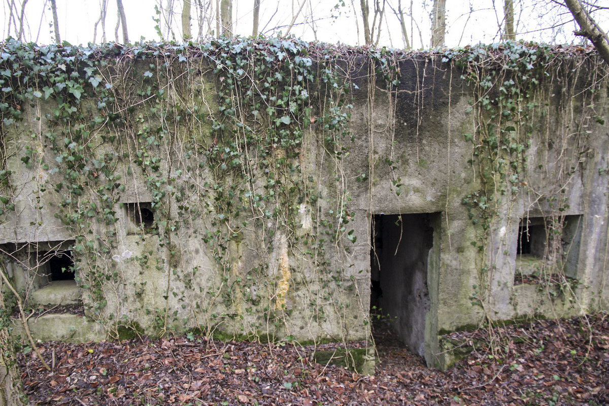 Ligne Maginot - KEMBS LOECHLE 1 - (Blockhaus pour arme infanterie) - Face arrière.
Entrée et deux créneaux FM - Alain Perouffe