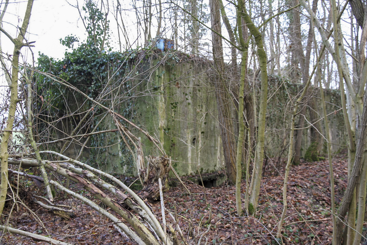 Ligne Maginot - KEMBS LOECHLE 1 - (Blockhaus pour arme infanterie) - Face arrière - Alain Perouffe