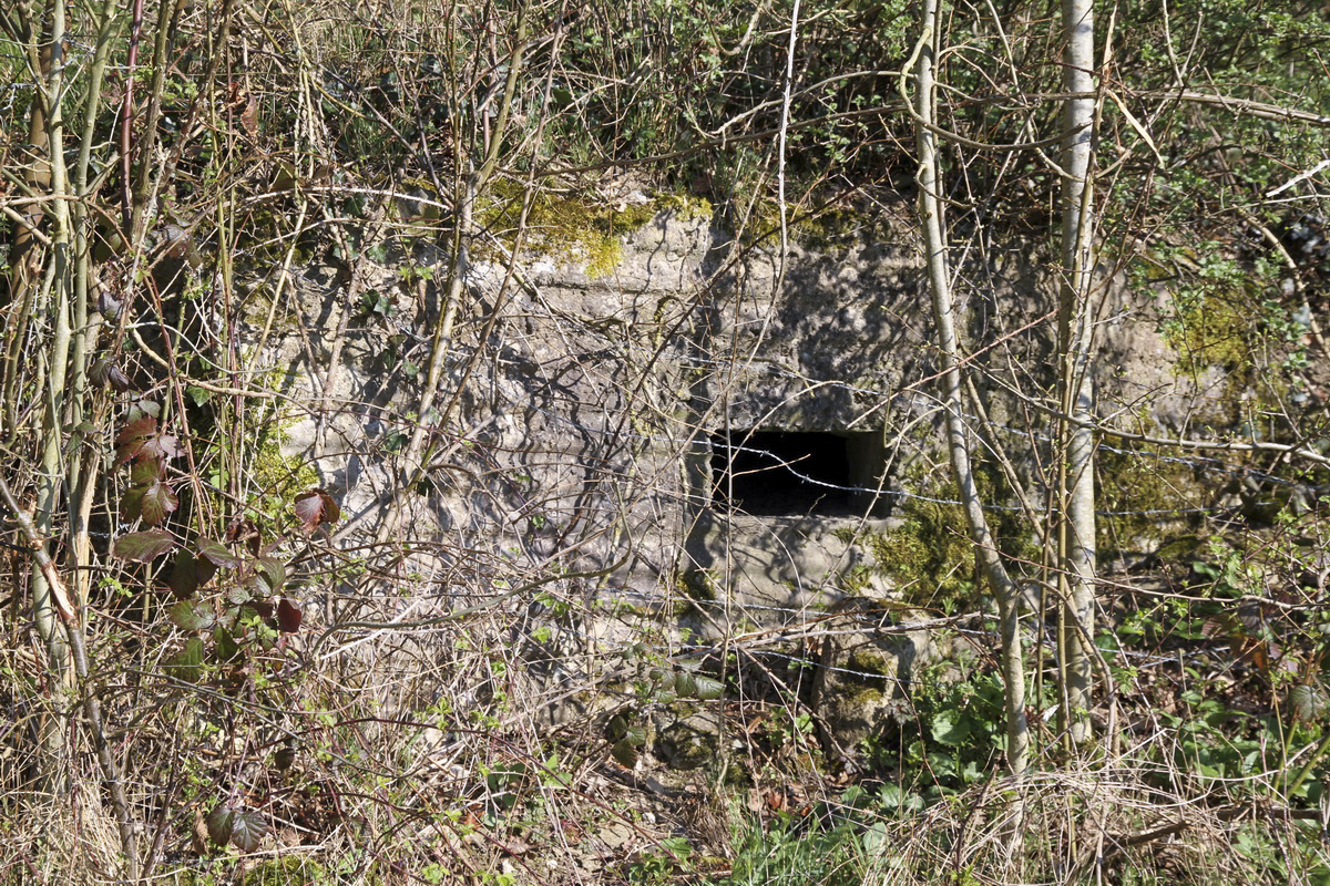Ligne Maginot - Blockhaus TRIEUX HANNOY bis - Petit bloc situé sous le bloc principal - Alain Perouffe