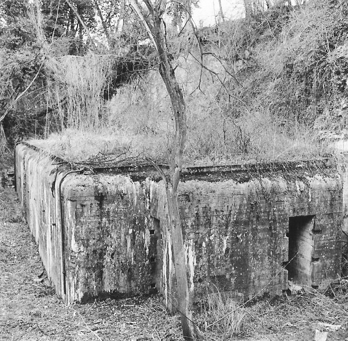 Ligne Maginot - RIXHEIM - PC DE GUERRE - (PC de Secteur) - Vue d'ensemble - Jean-Bernard WAHL
