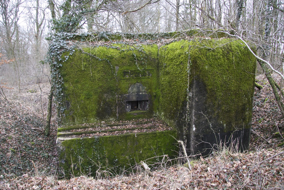 Ligne Maginot - BB164 - STUDEN - SUZANNE - (Blockhaus pour arme infanterie) -  - Alain Perouffe