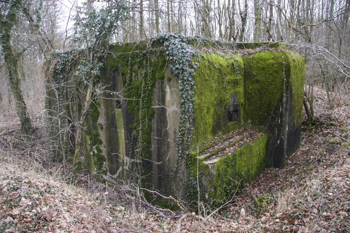 Ligne Maginot - BB164 - STUDEN - SUZANNE - (Blockhaus pour arme infanterie) -  - Alain Perouffe