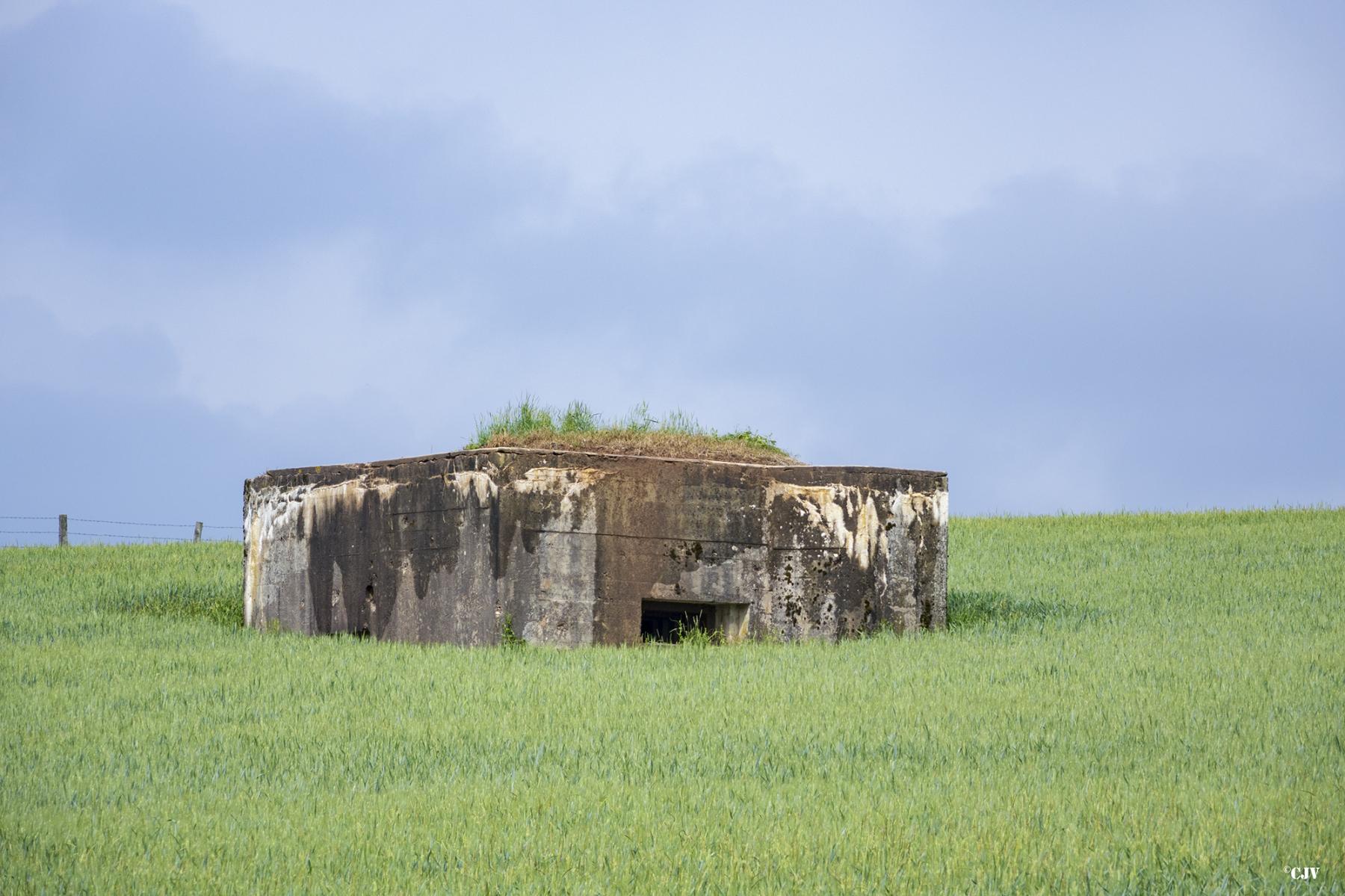 Ligne Maginot - RODENBERG 4 - (Blockhaus pour arme infanterie) -  - Lia VERMEULEN