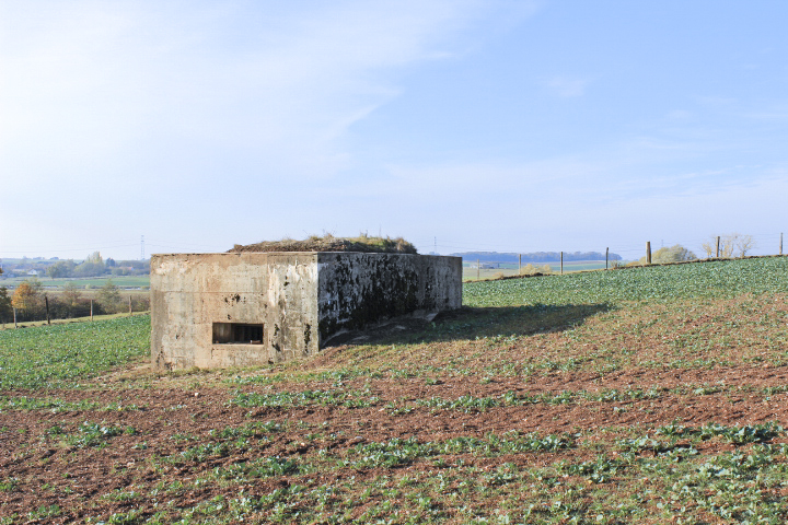 Ligne Maginot - RODENBERG 4 - (Blockhaus pour arme infanterie) -  - Jin Jac