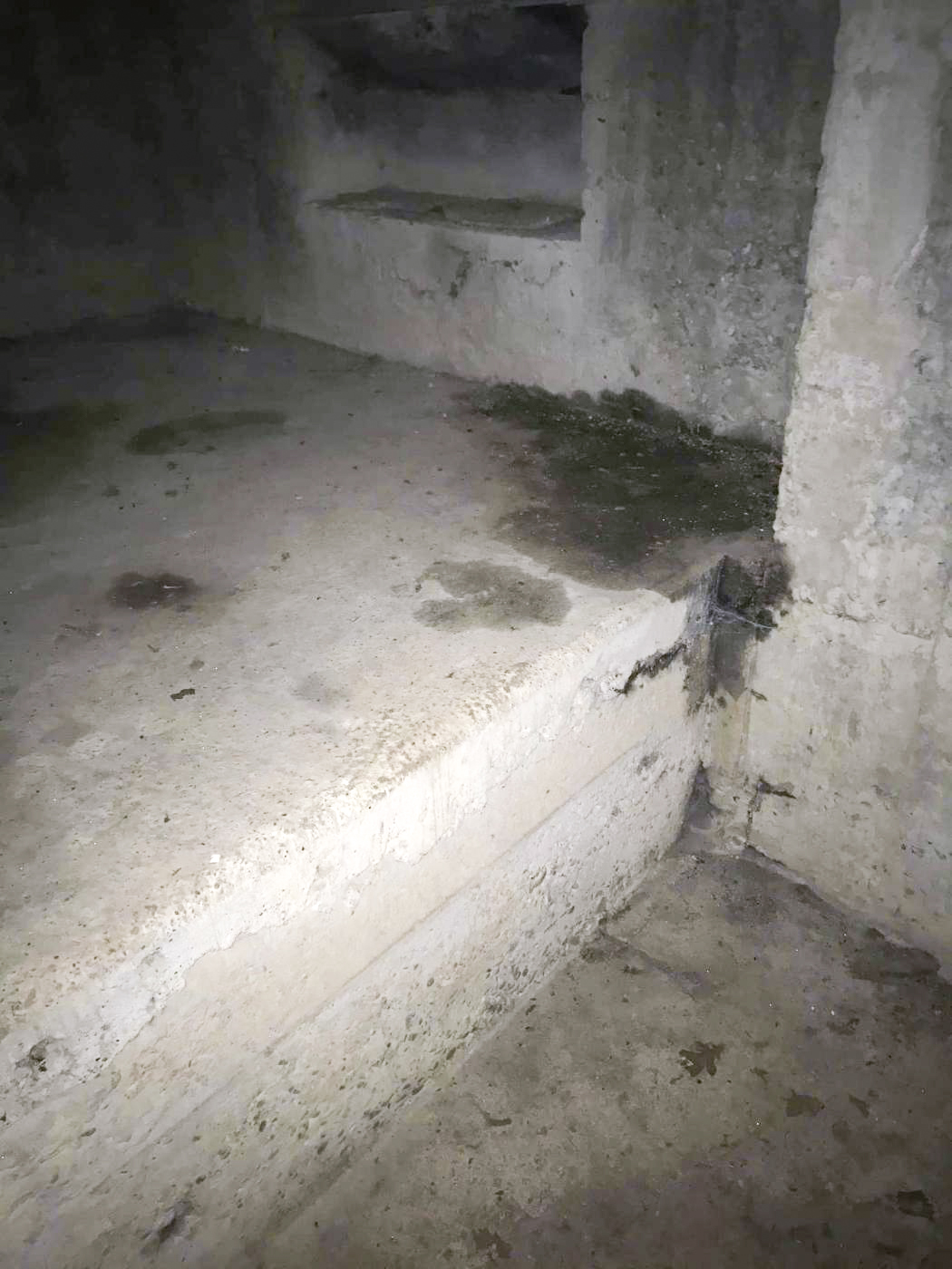 Ligne Maginot - PORT DE FORT-LOUIS - (Blockhaus pour arme infanterie) - Plateforme bétonnée - Arthur