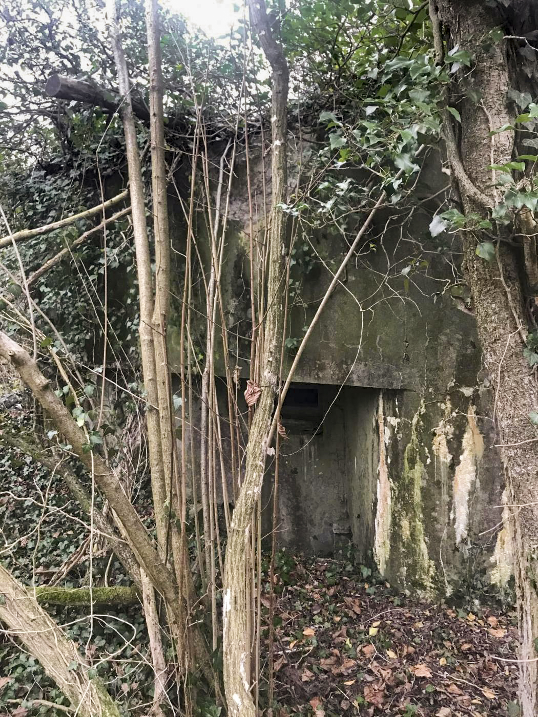 Ligne Maginot - MUEHLBACH 1 - (Blockhaus pour arme infanterie) -  - Arthur