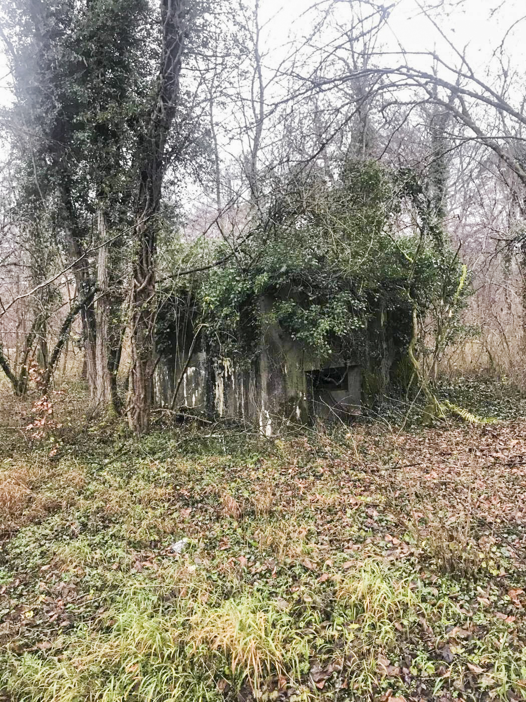 Ligne Maginot - MUEHLBACH 1 - (Blockhaus pour arme infanterie) - Vue d’ensemble - Arthur