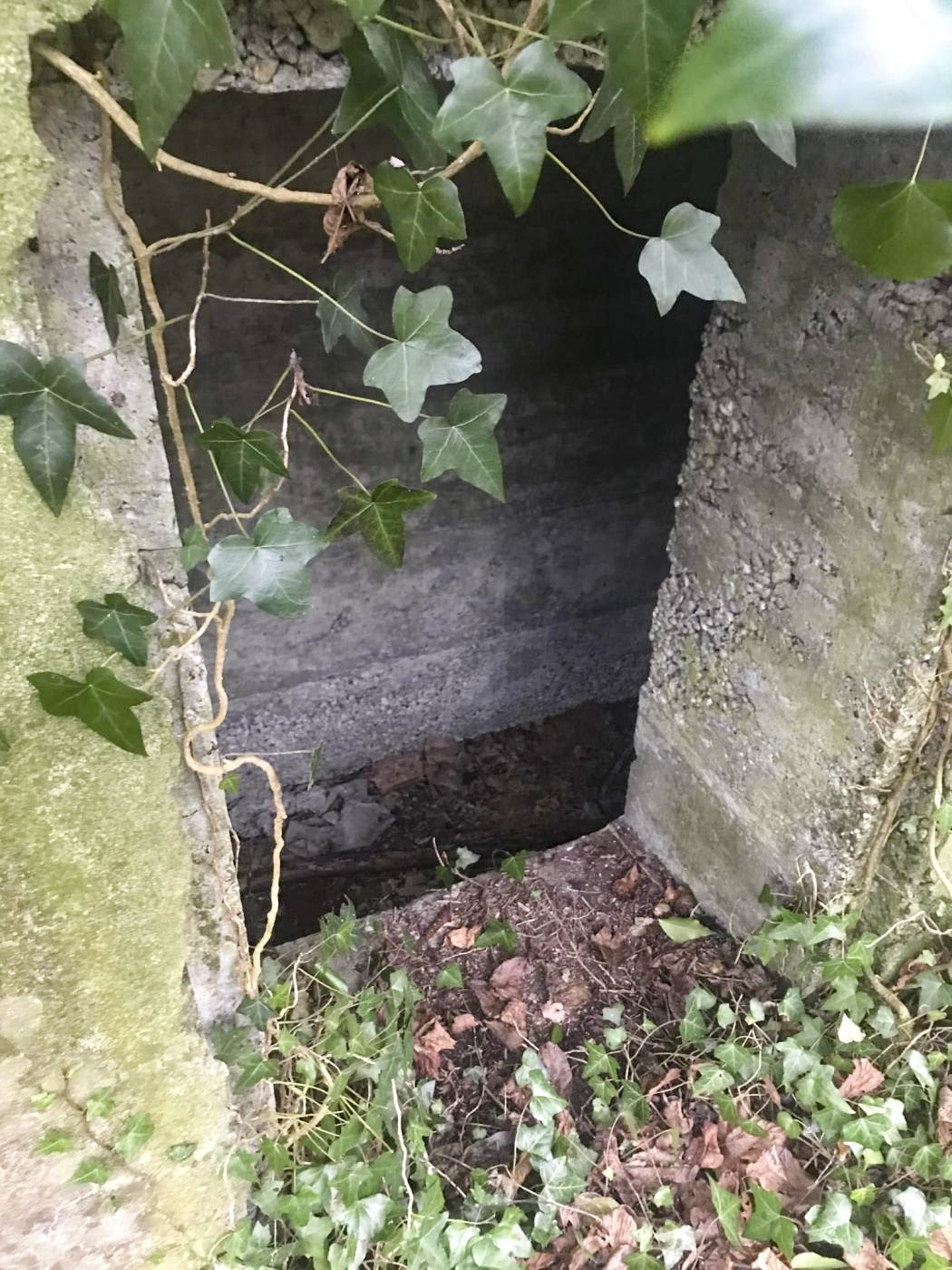 Ligne Maginot - MUEHLBACH 1 - (Blockhaus pour arme infanterie) - L'entrée - Arthur