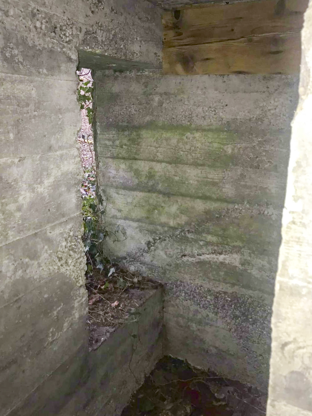 Ligne Maginot - MUEHLBACH 1 - (Blockhaus pour arme infanterie) -  - Arthur 
