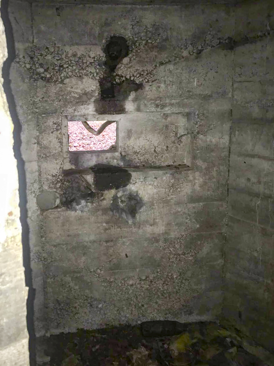 Ligne Maginot - MUEHLBACH 1 - (Blockhaus pour arme infanterie) - Créneau gauche - Arthur