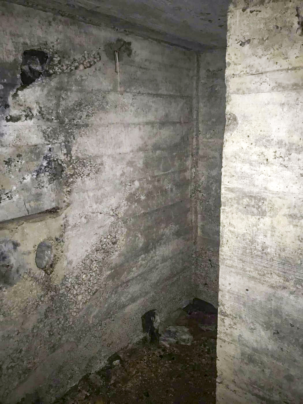 Ligne Maginot - MUEHLBACH 1 - (Blockhaus pour arme infanterie) -  - Arthur