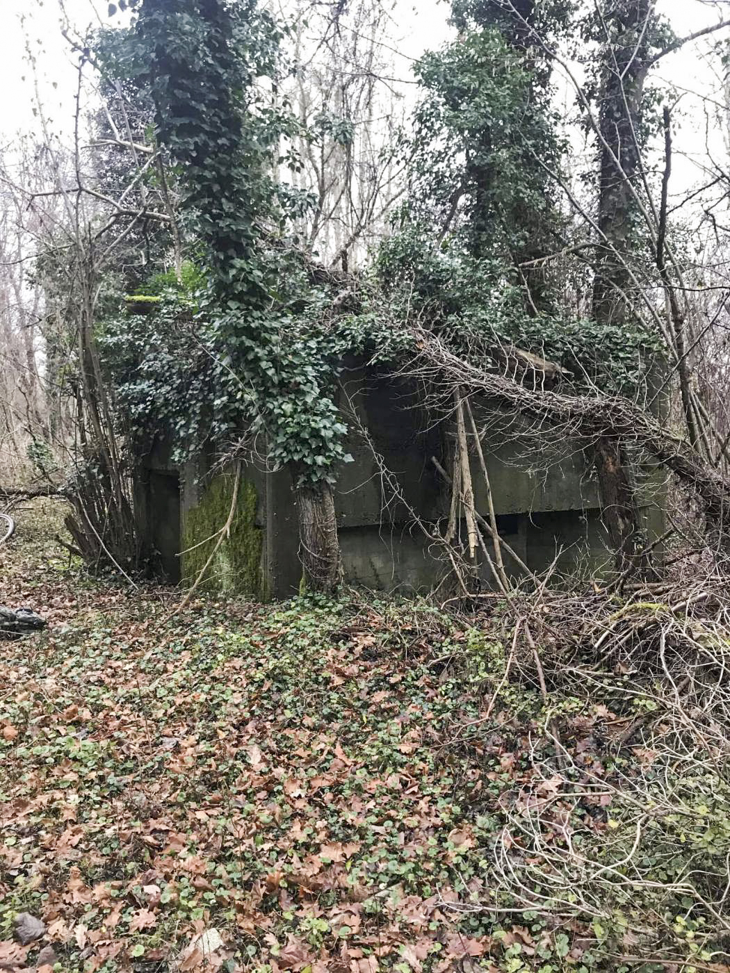 Ligne Maginot - MUEHLBACH 2 - (Blockhaus pour arme infanterie) -  - Arthur