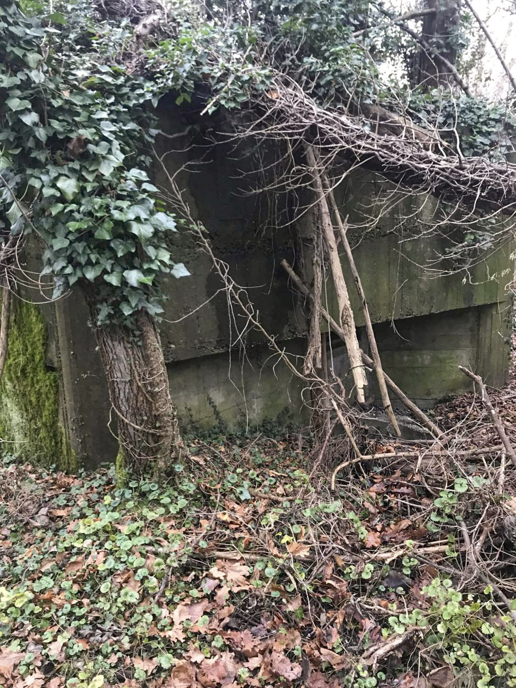 Ligne Maginot - MUEHLBACH 2 - (Blockhaus pour arme infanterie) -  - Arthur
