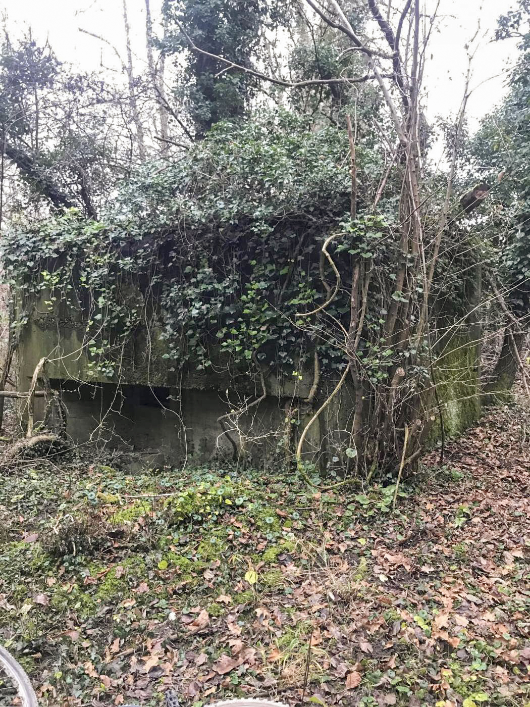 Ligne Maginot - MUEHLBACH 2 - (Blockhaus pour arme infanterie) -  - Arthur