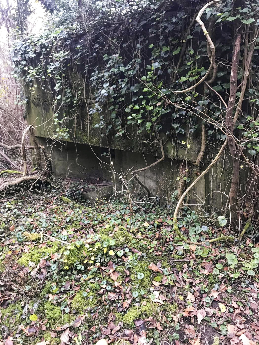 Ligne Maginot - MUEHLBACH 2 - (Blockhaus pour arme infanterie) -  - Arthur