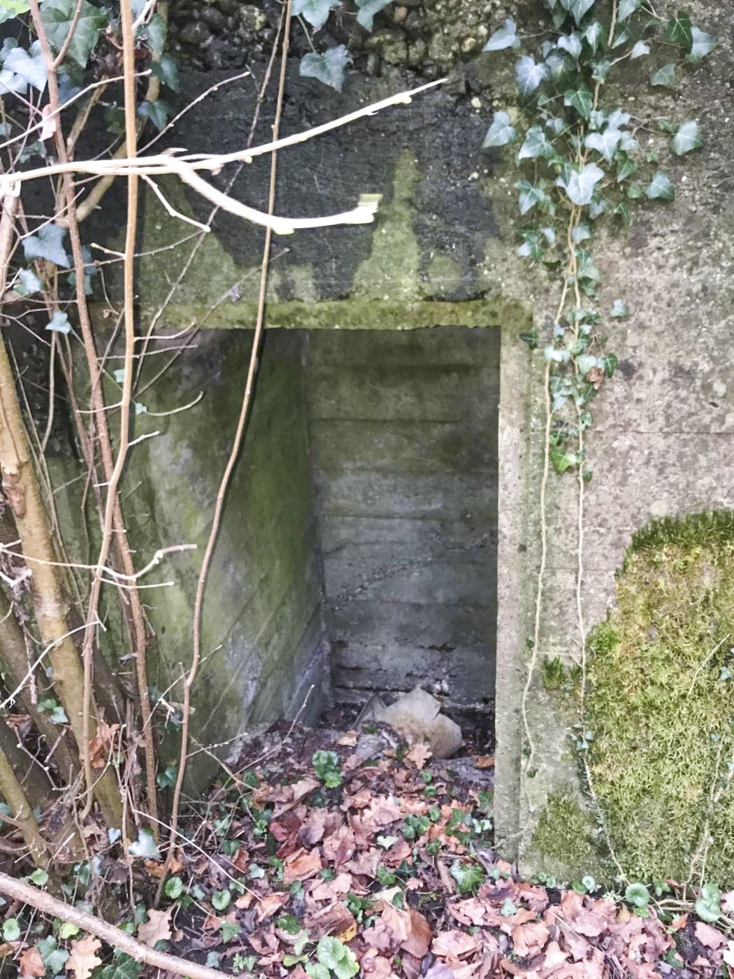 Ligne Maginot - MUEHLBACH 2 - (Blockhaus pour arme infanterie) -  - Arthur