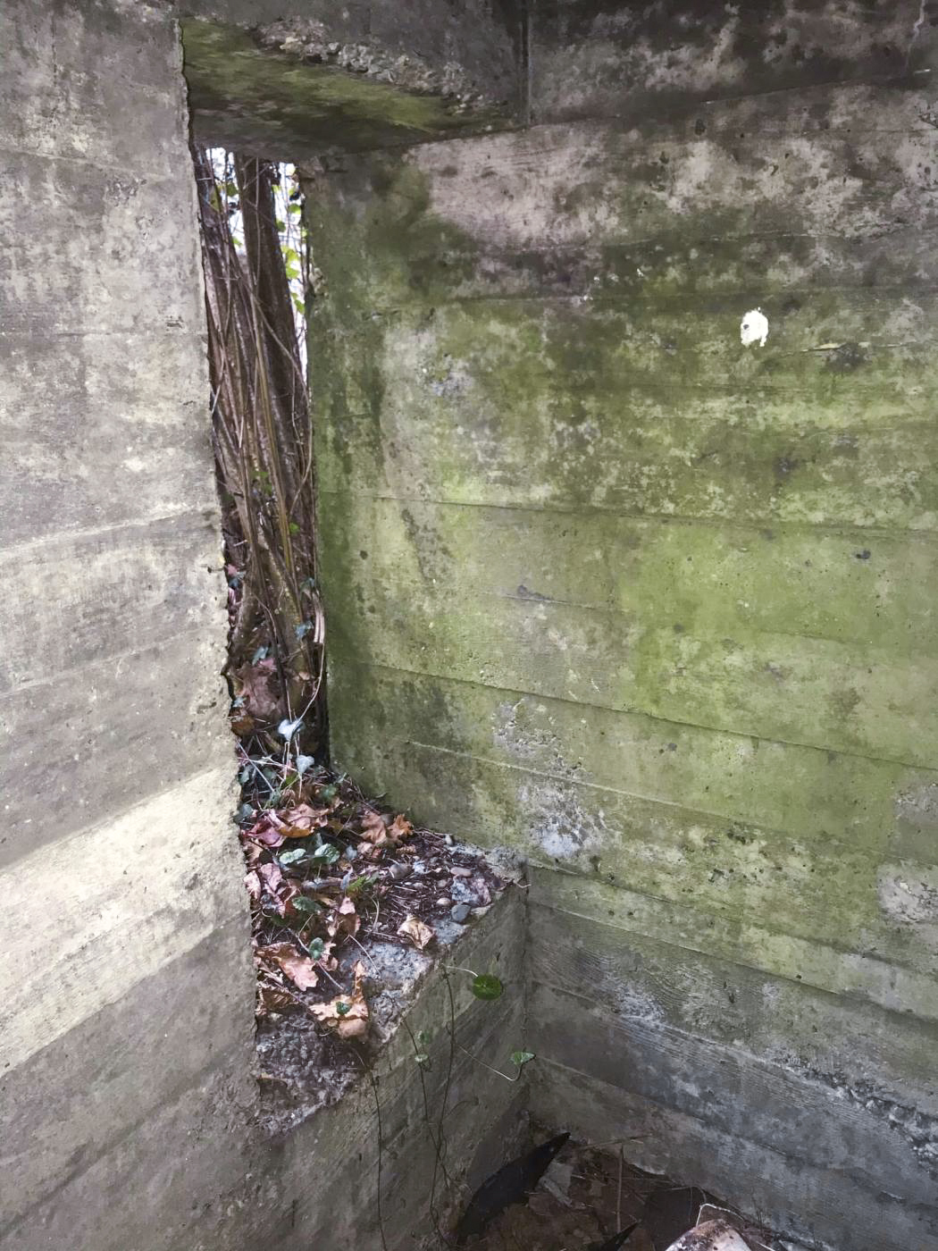Ligne Maginot - MUEHLBACH 2 - (Blockhaus pour arme infanterie) -  - Arthur