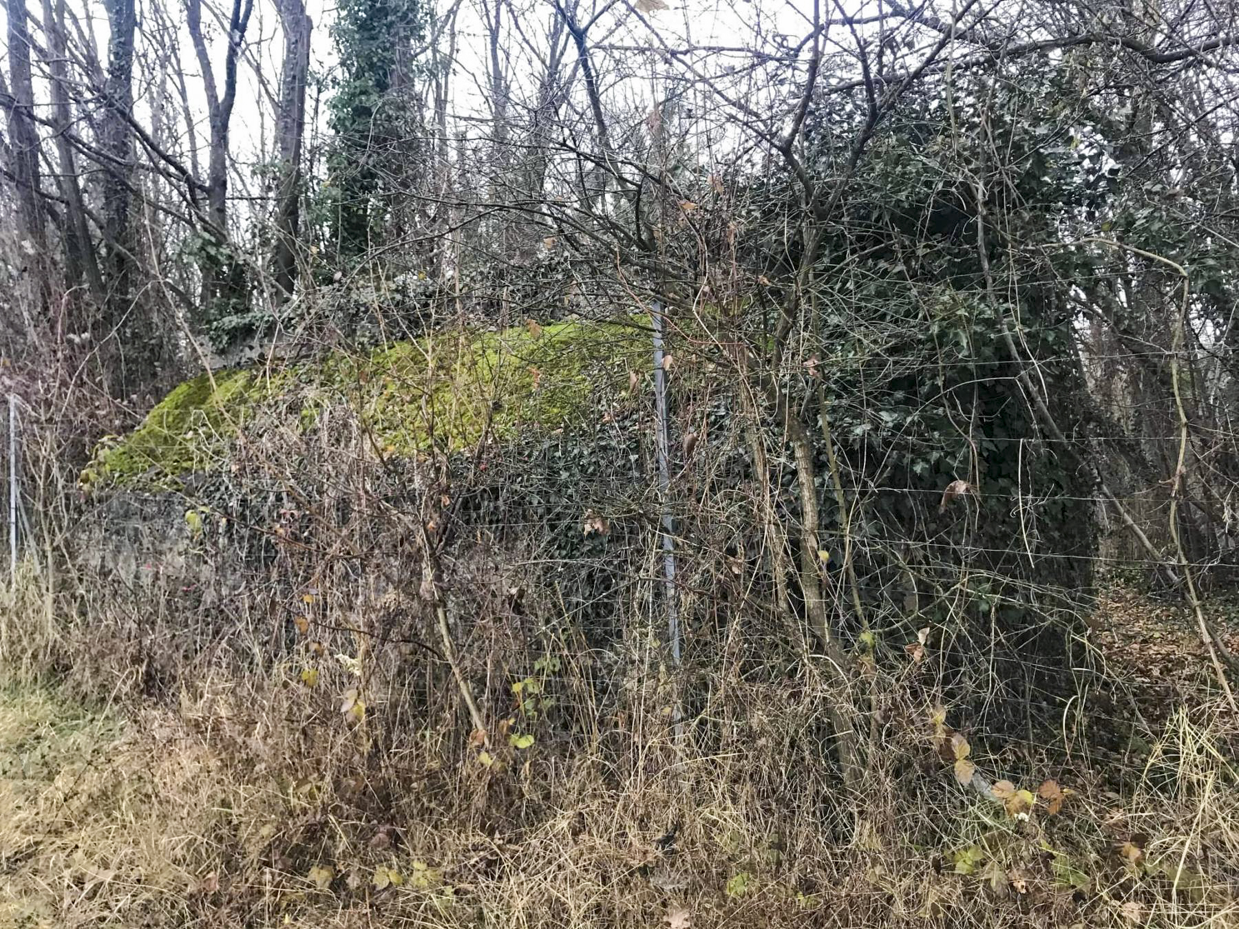 Ligne Maginot - SURYS GUT - (Abri) -  - Arthur