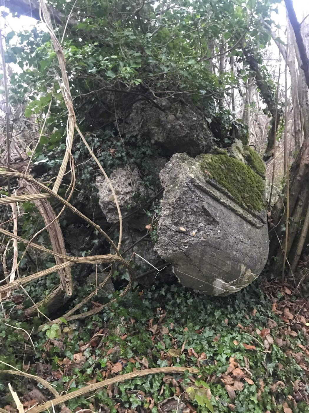 Ligne Maginot - SURYSCHER - (Blockhaus pour arme infanterie) - Les ruines - Arthur 