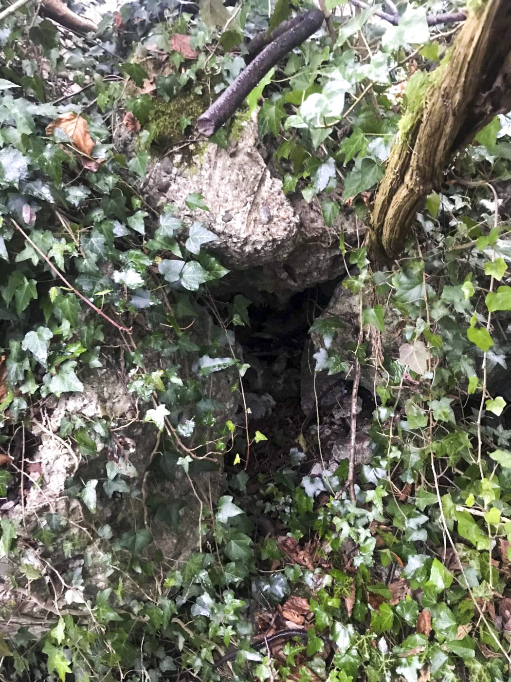 Ligne Maginot - SURYSCHER - (Blockhaus pour arme infanterie) - Les ruines - Arthur