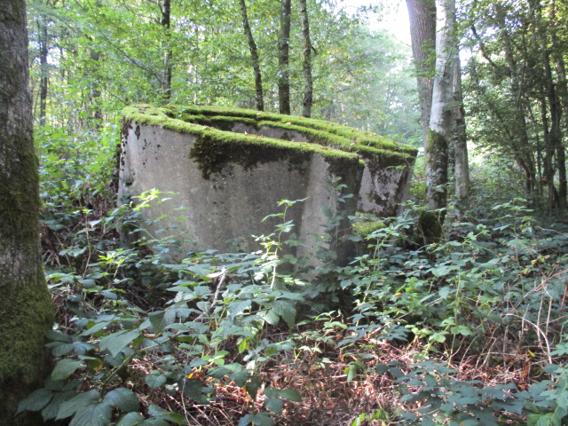 Ligne Maginot - T566 - SAINTE HILTRUDE - (Cuve pour arme d'infanterie) -  - Randonneur62