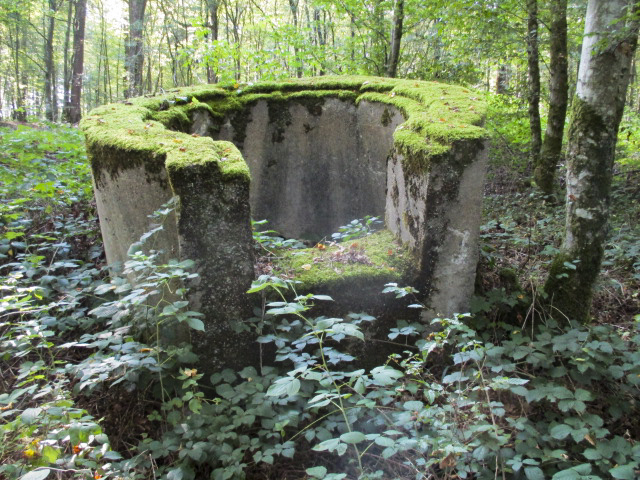 Ligne Maginot - T566 - SAINTE HILTRUDE - (Cuve pour arme d'infanterie) -  - Randonneur62