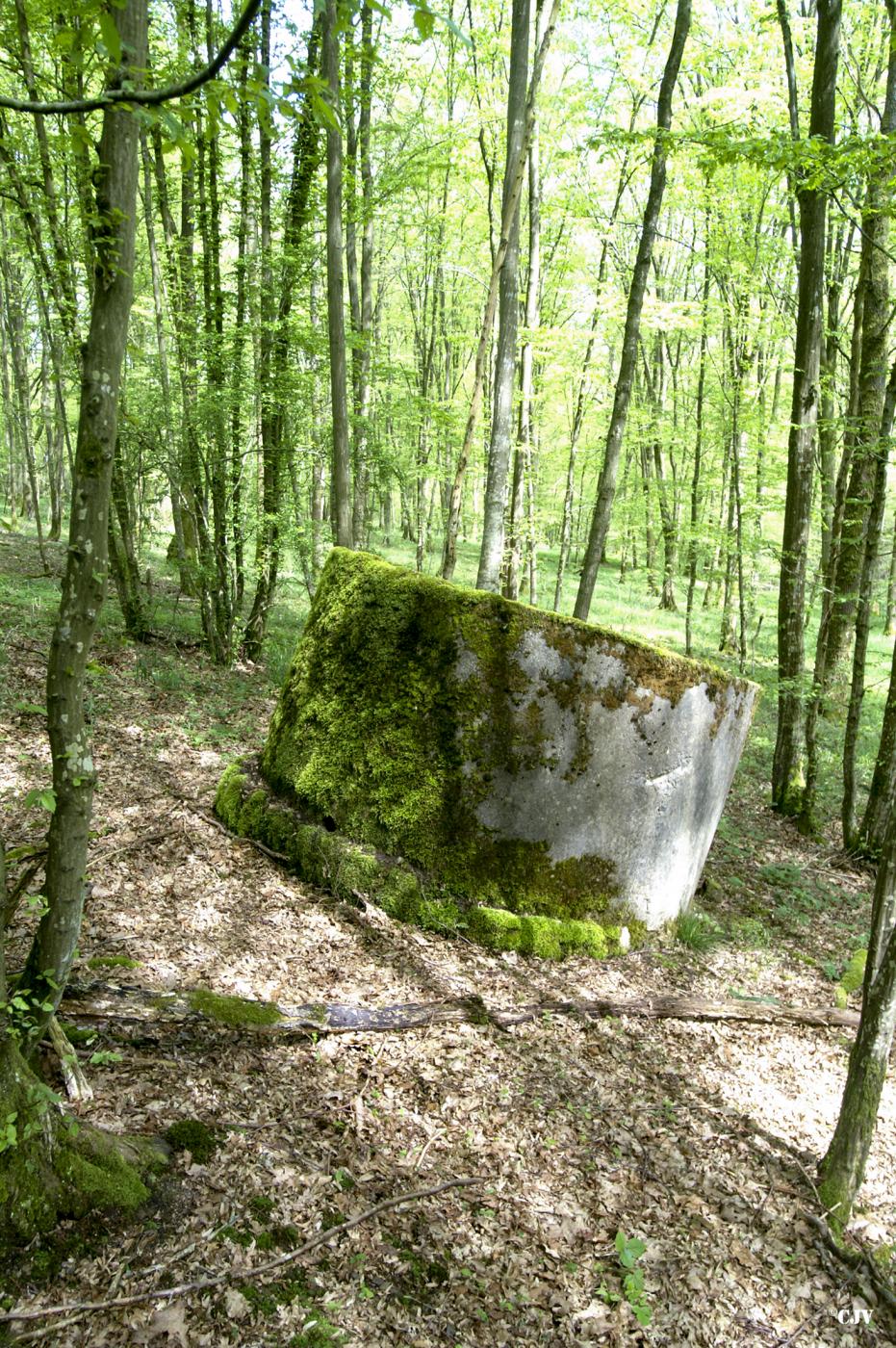 Ligne Maginot - T566 - SAINTE HILTRUDE - (Cuve pour arme d'infanterie) -  - Caspar Vermeulen