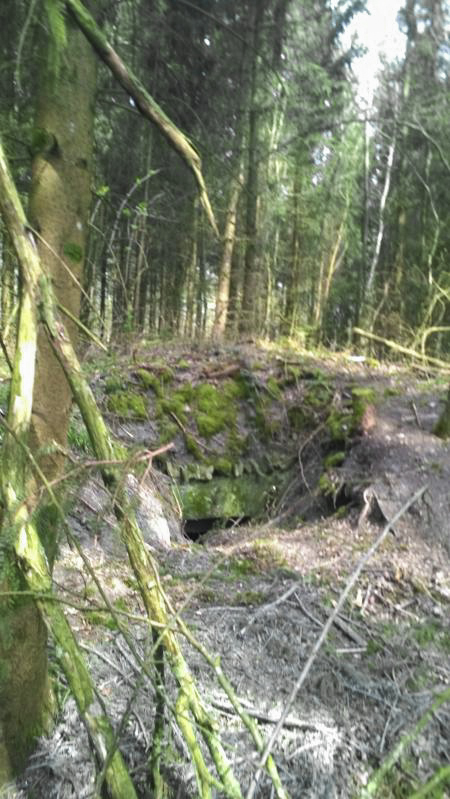 Ligne Maginot - LANGSTWALD (CM1 - I/174° RMIF - SOUS-QUARTIER LANGSTWALD) - (PC de Sous-Quartier) - Zone en travaux forestier - jin jac
