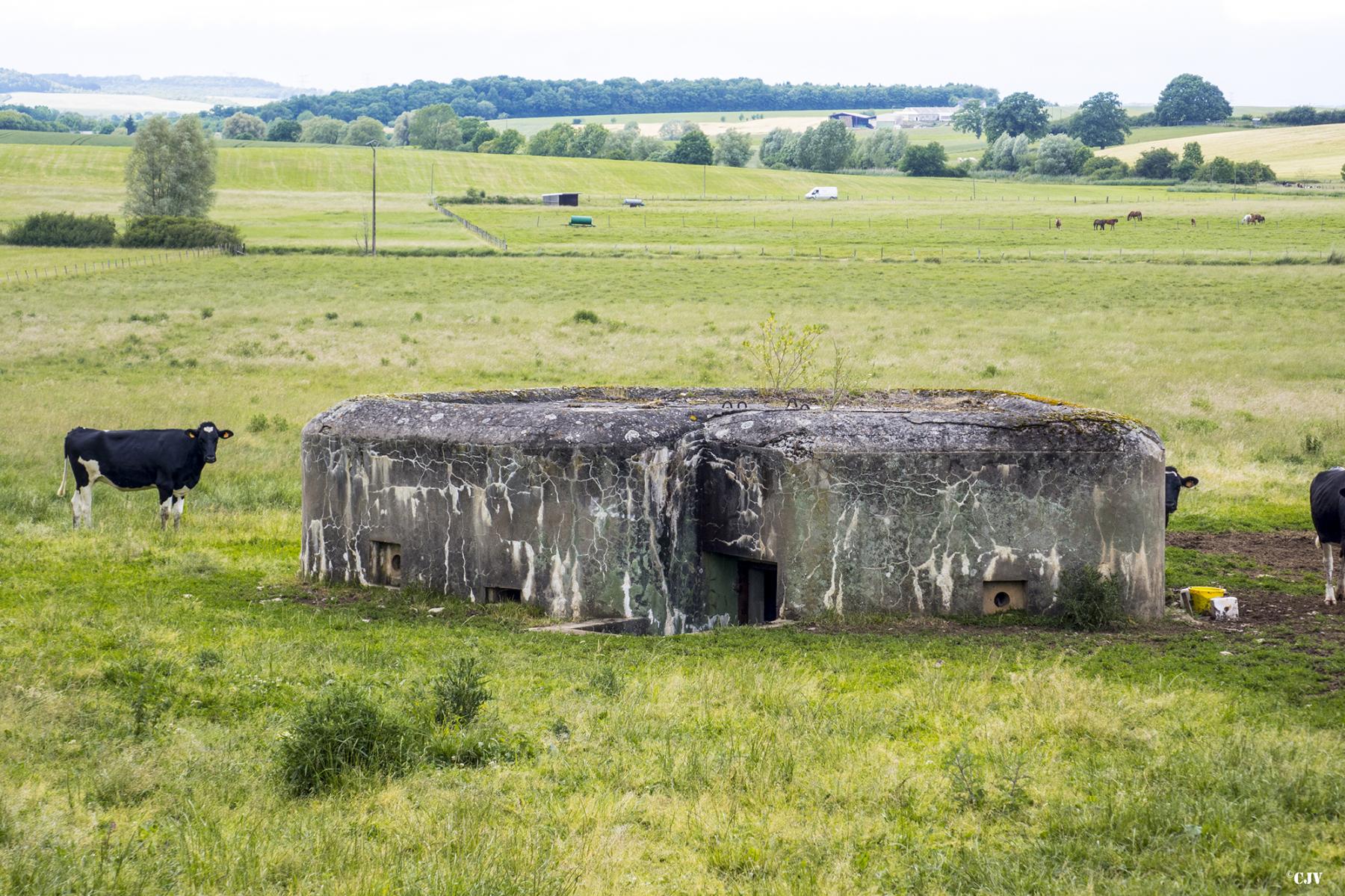 Ligne Maginot - M121B - BREITMATT EST - (Blockhaus pour arme infanterie) -  - Lia VERMEULEN