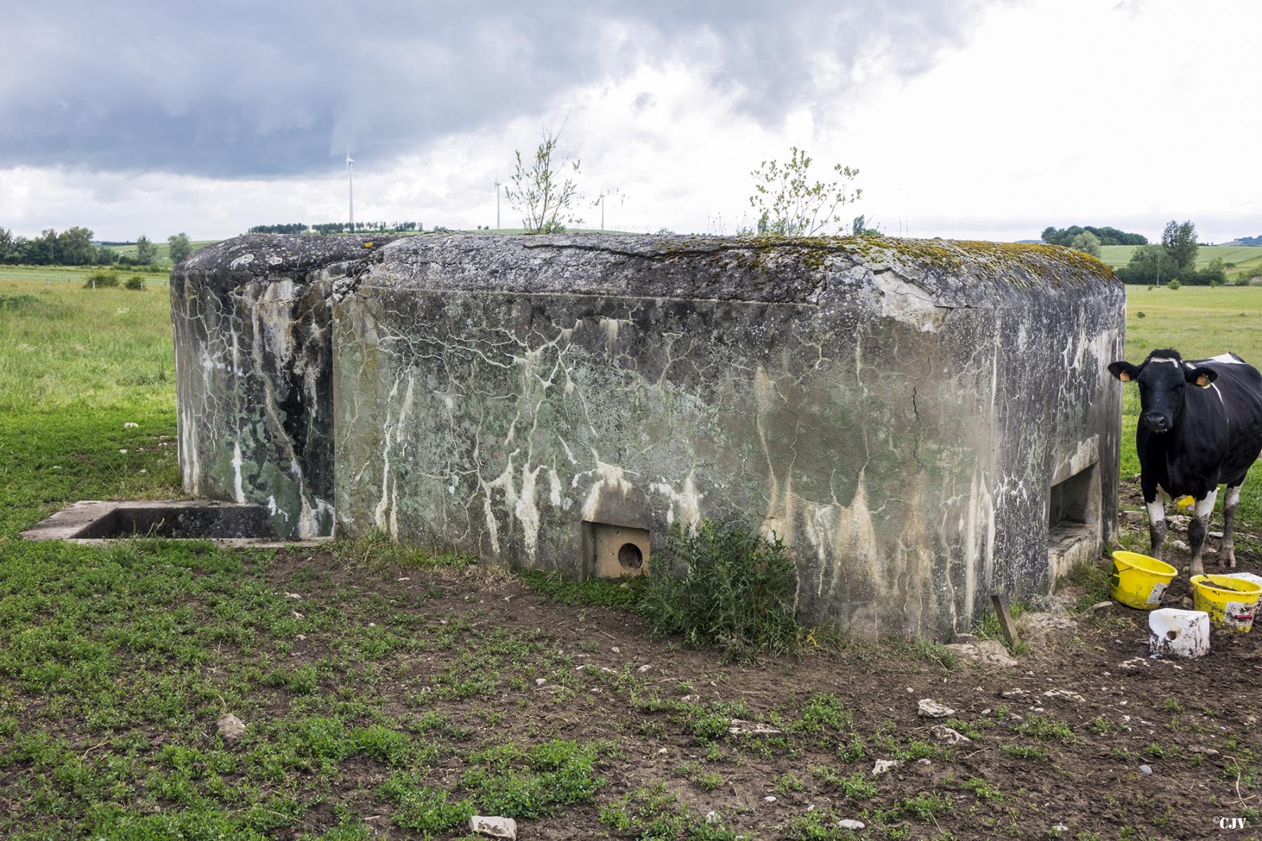 Ligne Maginot - M121B - BREITMATT EST - (Blockhaus pour arme infanterie) -  - Lia VERMEULEN