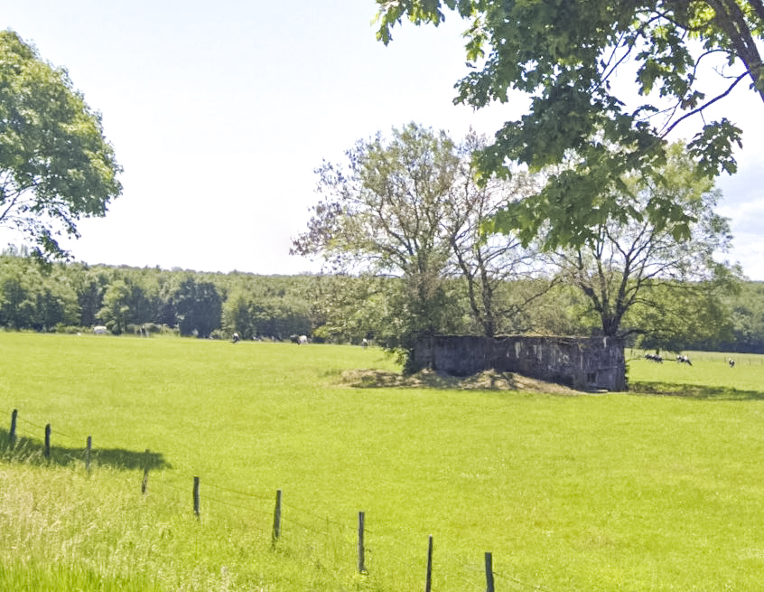 Ligne Maginot - FEUERSTEIN 1 - (Blockhaus pour canon) -  - Google StreetView