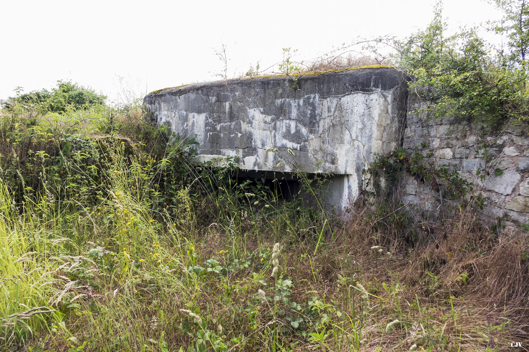 Ligne Maginot - M124 - KLEINBACH - (Blockhaus pour arme infanterie) -  - Lia VERMEULEN