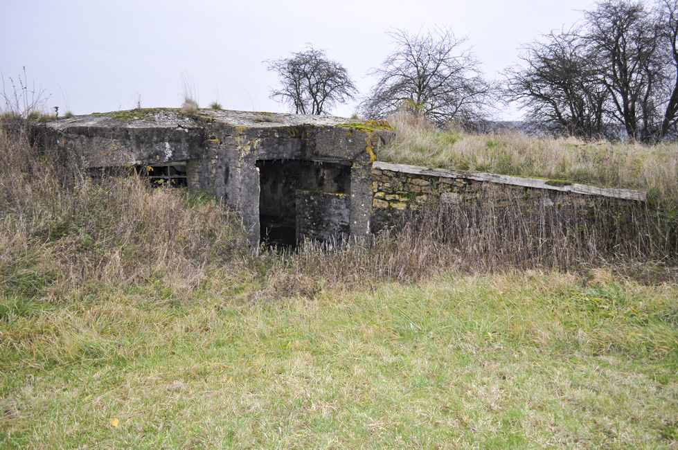 Ligne Maginot - DB26 - (Blockhaus pour canon) - Vue de l'entrée et d'un créneau de mitrailleuse
L'entrée ainsi que toutes les parois intérieures ont été démolies - Pruzsina jérome