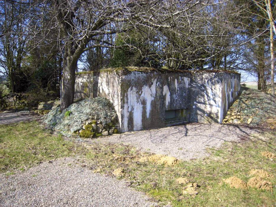 Ligne Maginot - DB242 - (Blockhaus pour canon) -  - Pruzsina jerome
