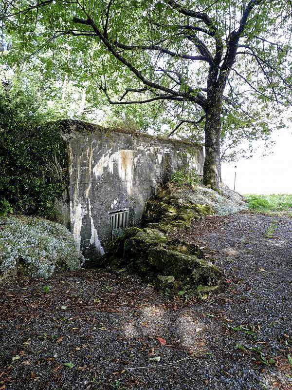 Ligne Maginot - DB242 - (Blockhaus pour canon) -  - Sylvie Laure LAMBERT