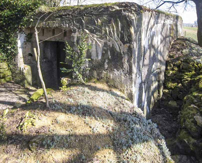 Ligne Maginot - DB242 - (Blockhaus pour canon) -  - Pruzsina jerome