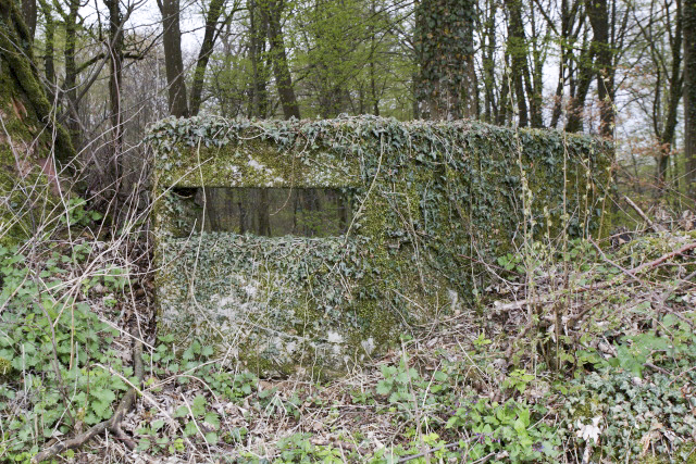 Ligne Maginot - PINAUSET - (Blockhaus pour arme infanterie) -  - www.arnaultjl-photo.com