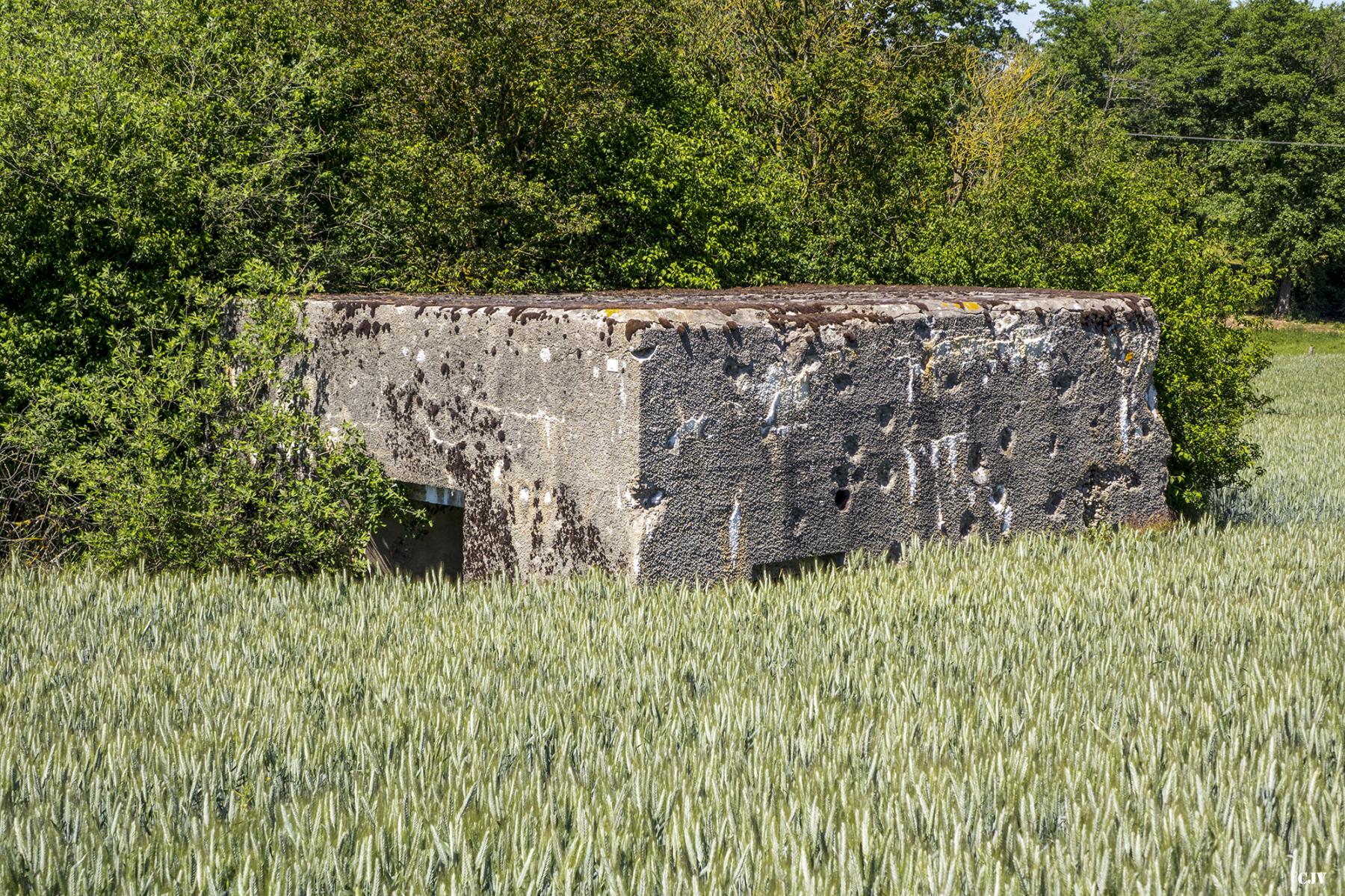 Ligne Maginot - Blockhaus Eperon -  - Lia VERMEULEN