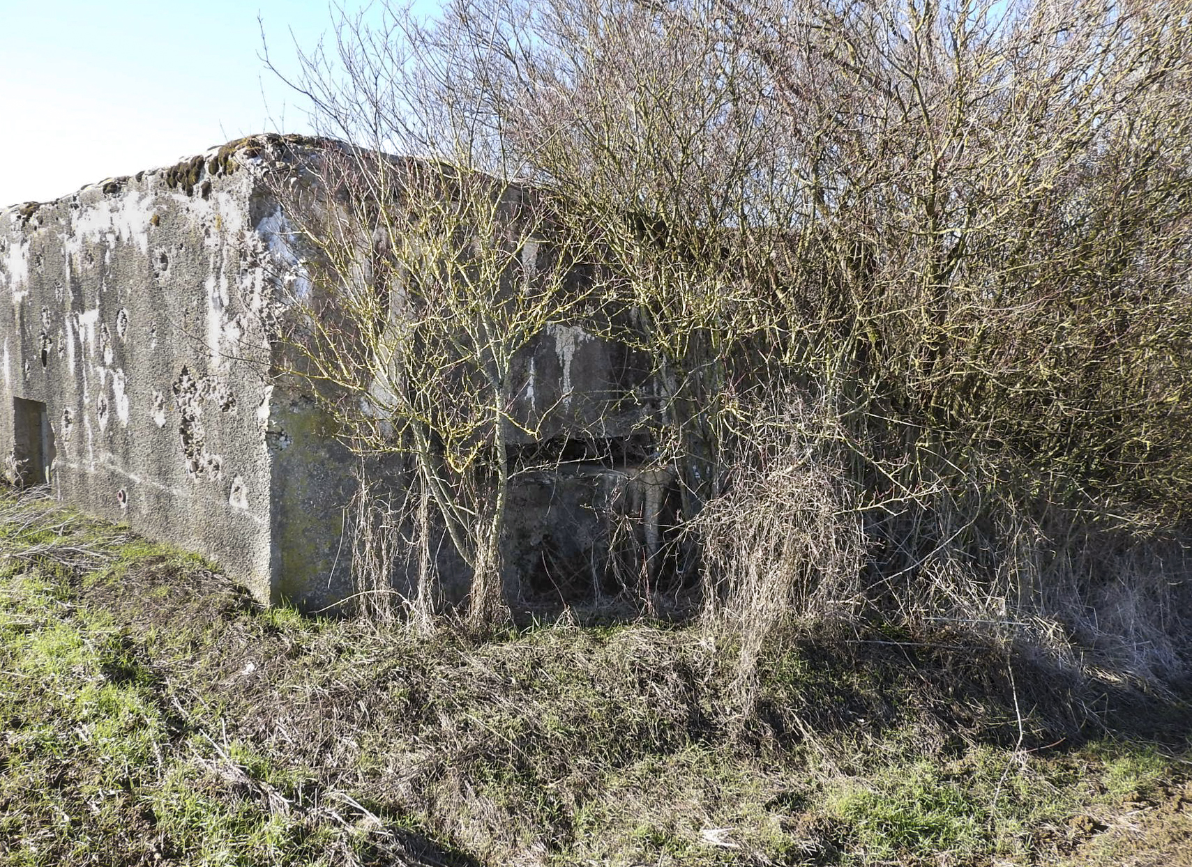 Ligne Maginot - EPERON - (Blockhaus pour canon) - La façade de tir du blockhaus - STENGER Mathieu