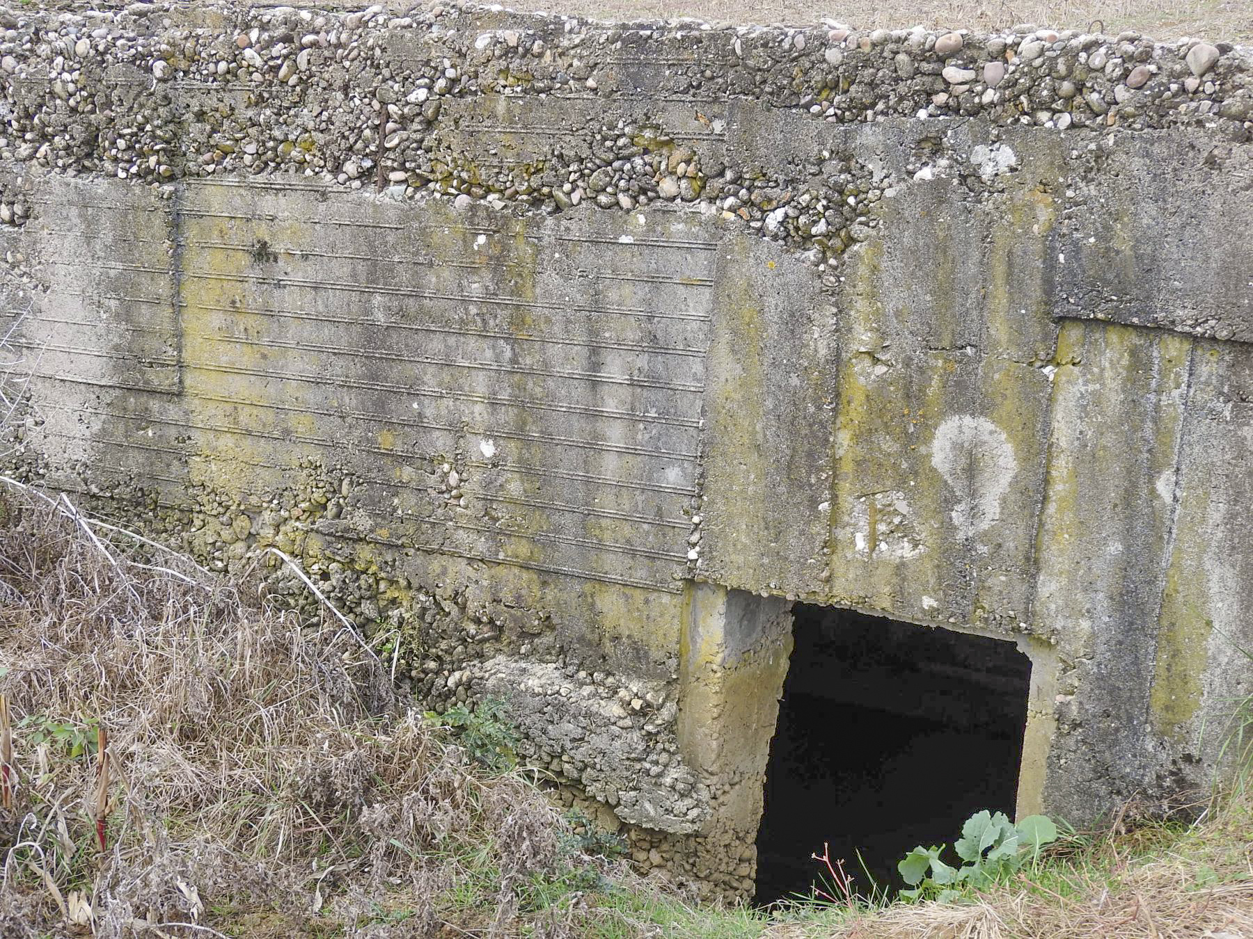 Ligne Maginot - ANNELBACH - (Abri) - L'une des deux entrées - STENGER Mathieu