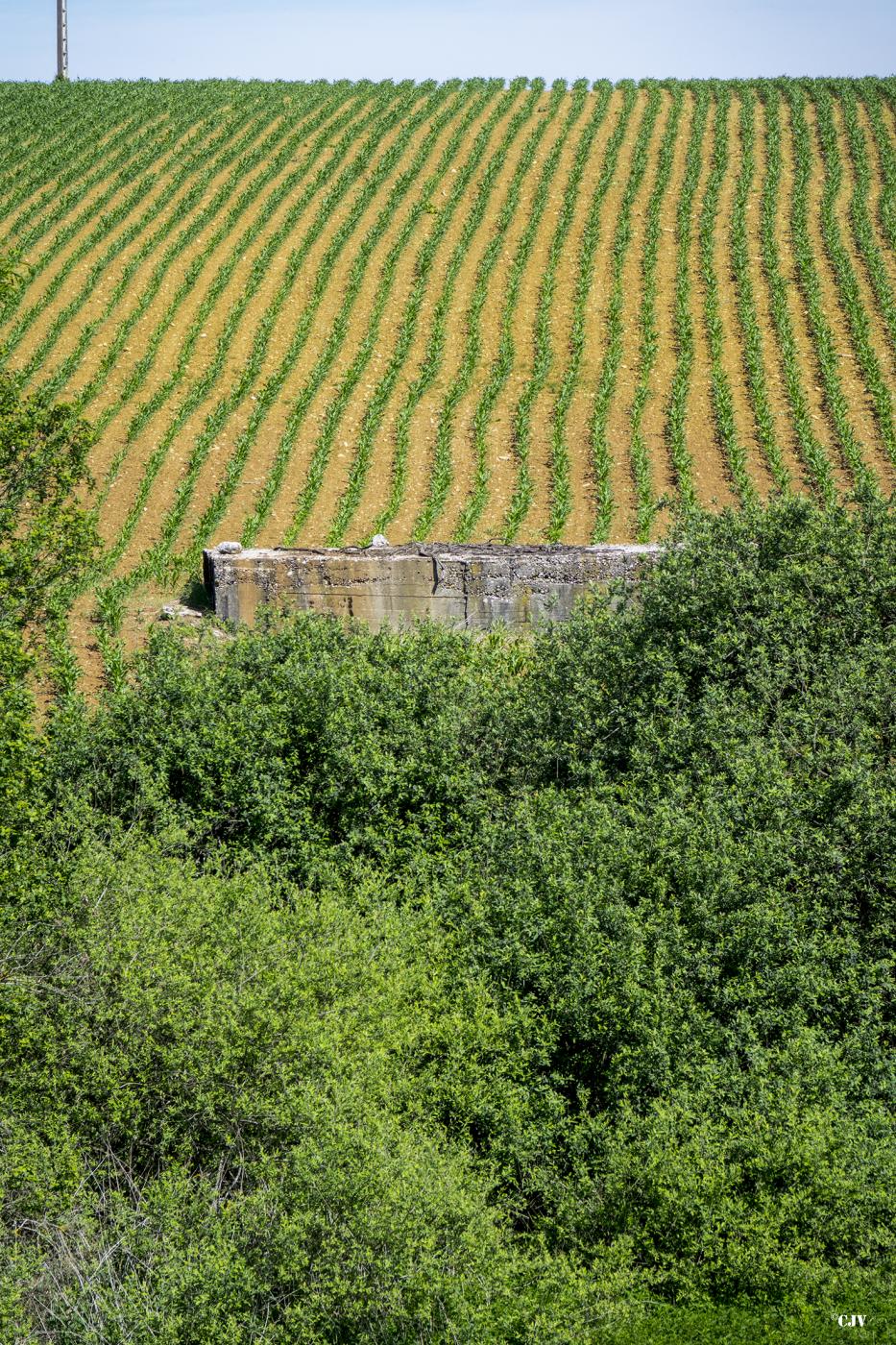 Ligne Maginot - ANNELBACH - (Abri) -  - Lia VERMEULEN