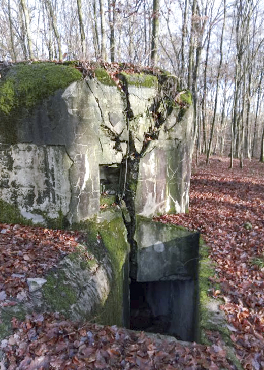 Ligne Maginot - A6B - KALMERICH (CM6 - II/174° RMIF - SOUS-QUARTIER KALMERICH) - (PC de Sous-Quartier) -  - jin jac
