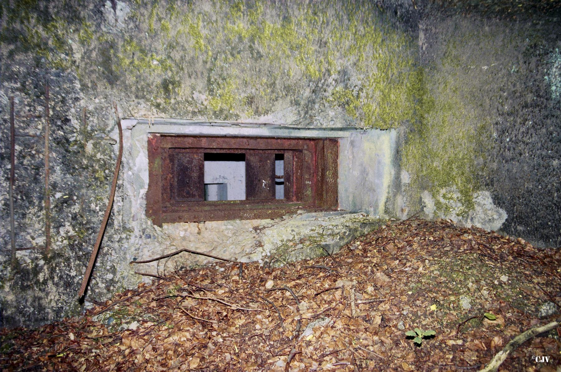 Ligne Maginot - C8B - KALMERICH 6 - (Blockhaus pour canon) -  - Lia VERMEULEN